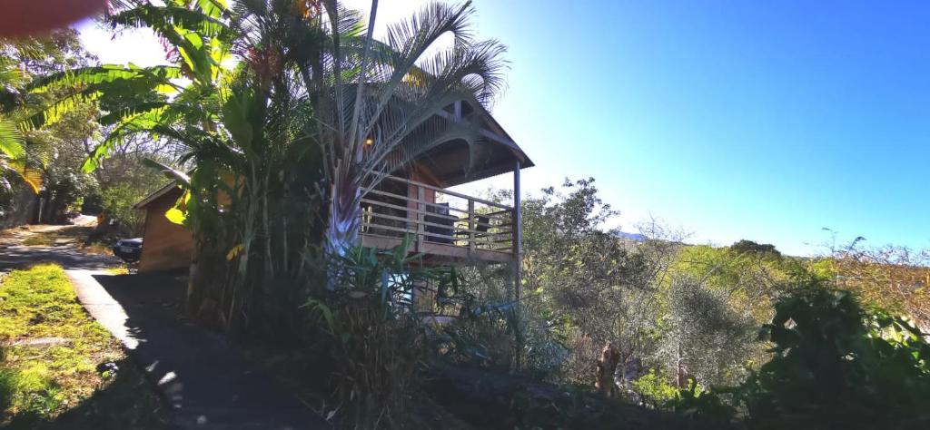 Tropical exterior